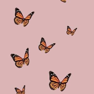 Meet your Posher, Stefany